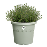 algarve cilindro 25cm thyme green